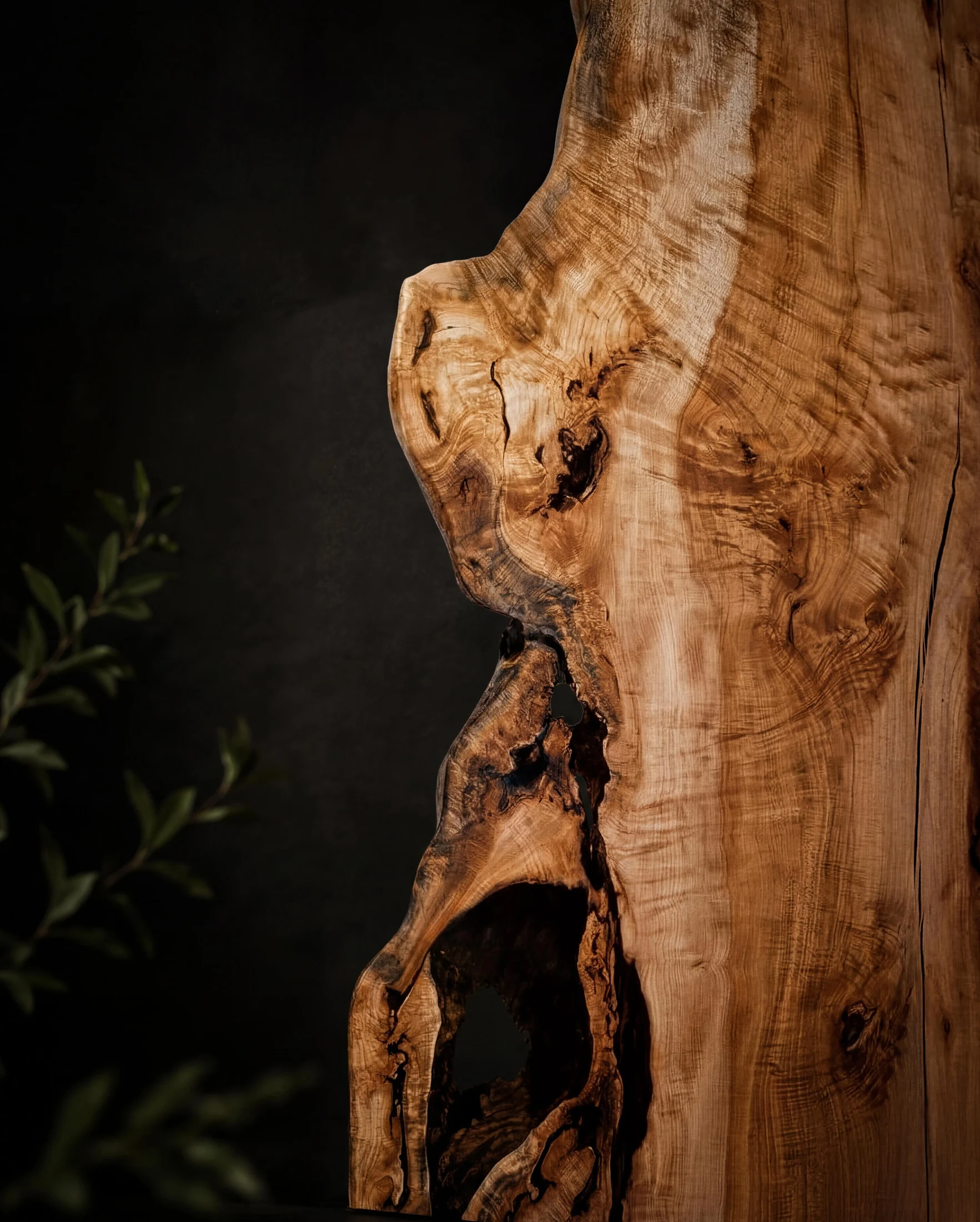 Sculptural natural wood slab with rich grain